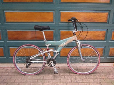 schwinn s10