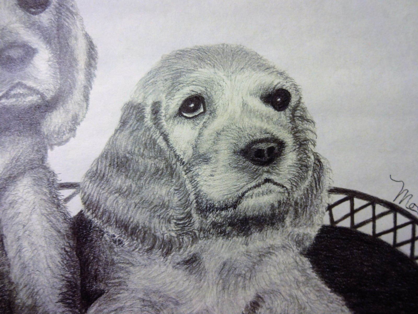 Original Graphite Drawing of 2 Puppy's Signed Moe 8