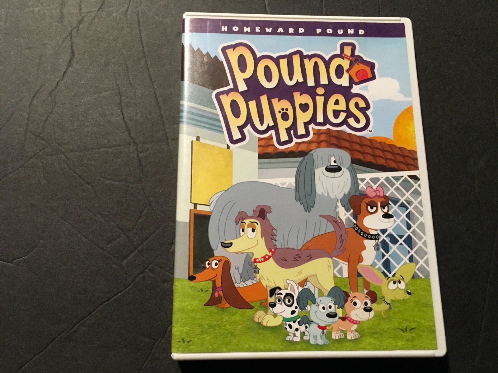 Pound Puppies Homeward Pound 826663130621| eBay