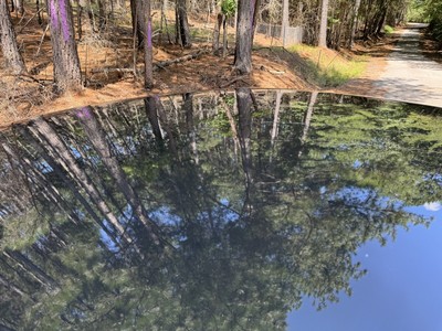 image 12 of exterior