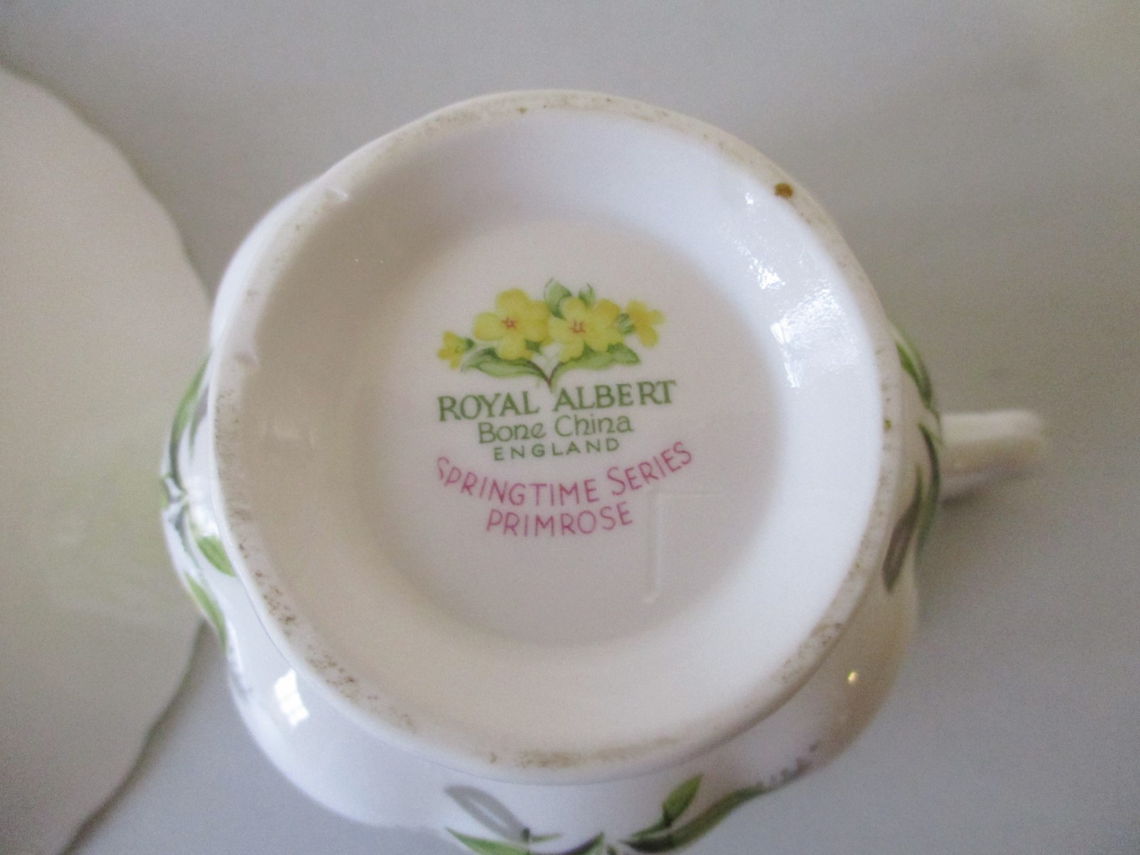 Royal Albert Springtime Series Primrose Cup & Saucer