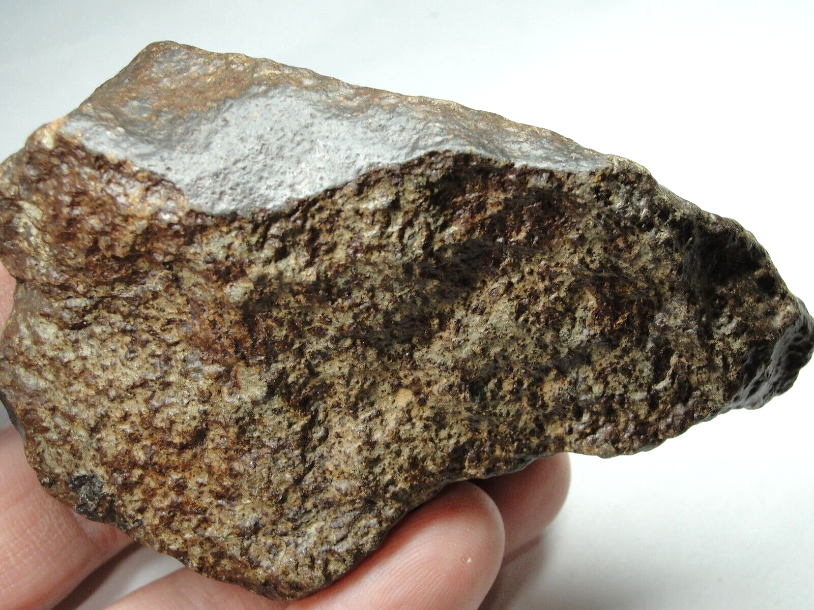 Meteorite - Oriented - Top Quality - Rare Orientation - SLS