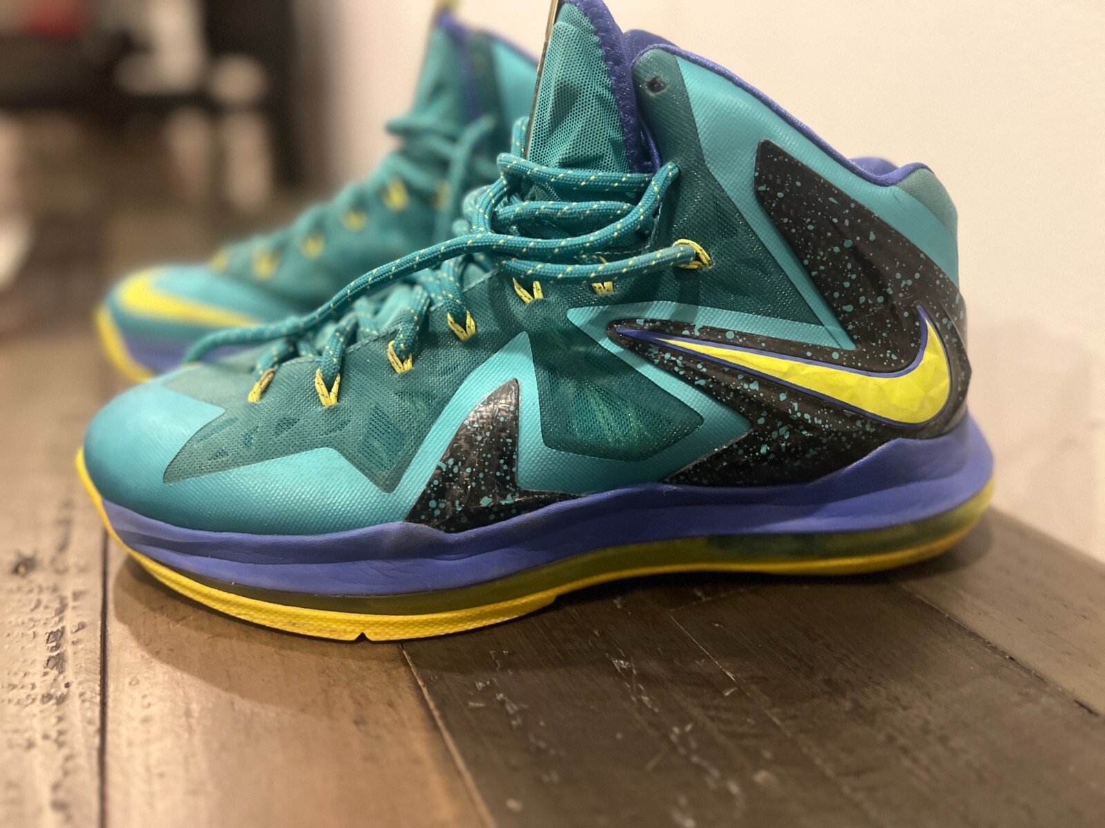 Lebron 10 price online