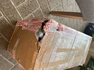 Item photo(s) from verified buyer