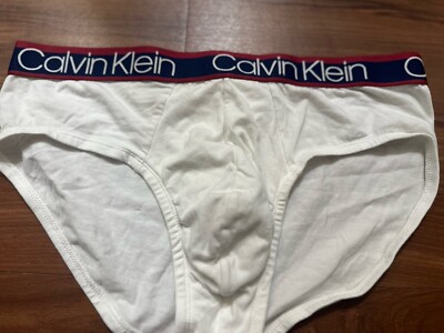 calvin klein underwear men briefs