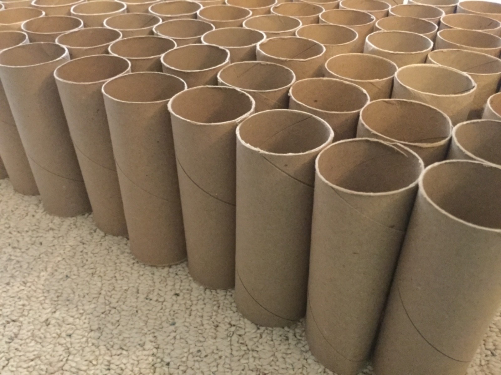 Empty toilet paper rolls 120