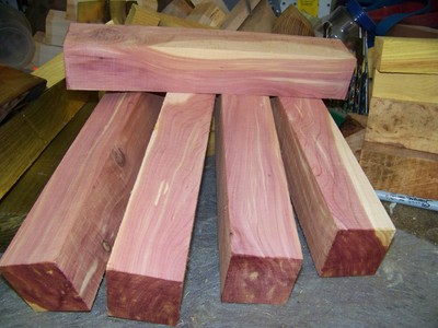 сосна кедровая сибирская стробилы. церцис канадский. розовый кедр древесина. красный канадский кедр. сосна кедровая цветение.