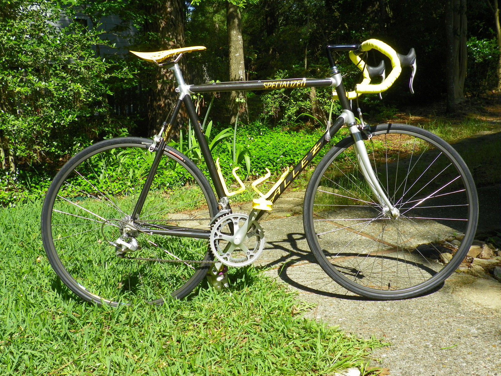 specialized allez epic carbon