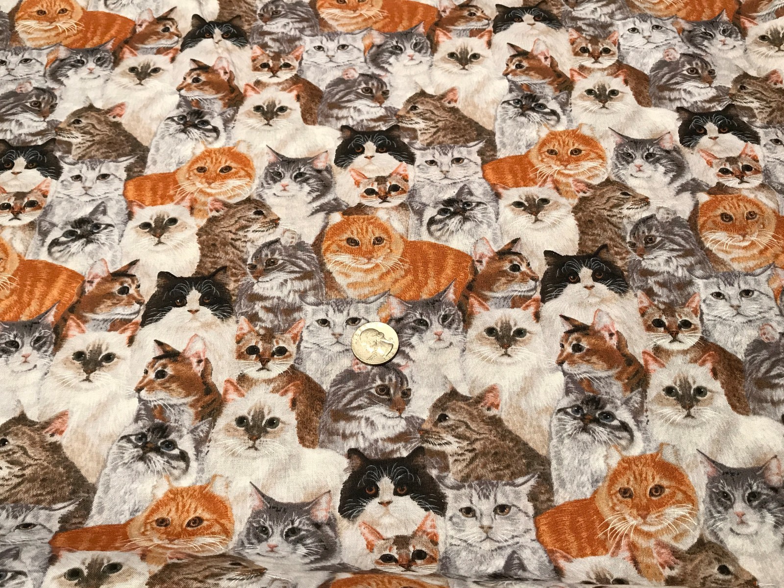 Fabric Cats Allover Full on Cotton 1/4 Yard eBay