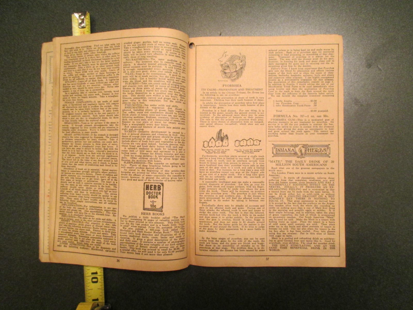 1927 The Herbalist Almanac