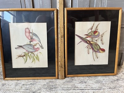 1930s Pair Of Vintage J Gould Bird Print Bamboo Stye Framed Hand Colored