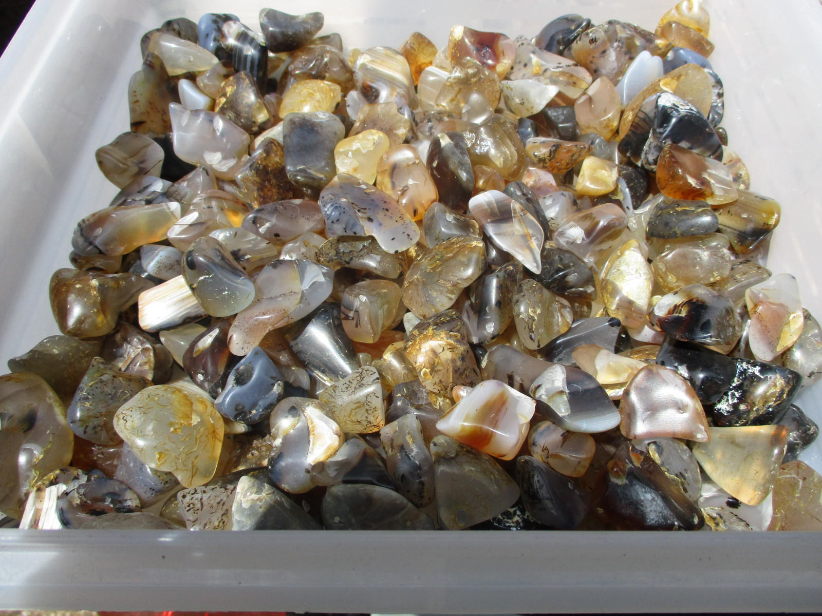 4 1/2 pounds of polished semi precious stones mostly montana agate (c)