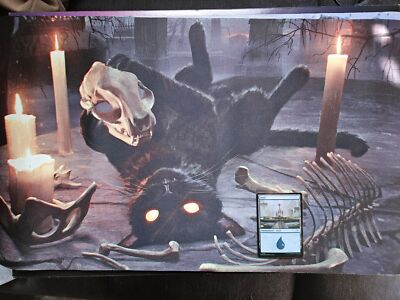 MTG 九生の使い魔/Nine-Lives Familiar Playmat FOIL】【日】九生の使い魔/Nine-Lives Familiar[黒R]【FDN