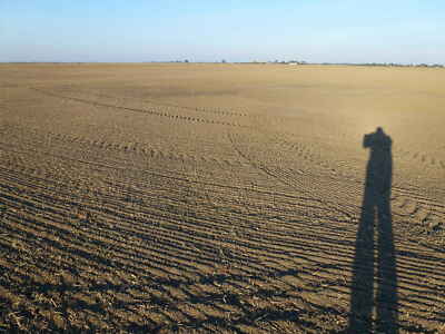 Photo 6x4 Only the shadows are growing Very low autumn rainfall and windy c2011