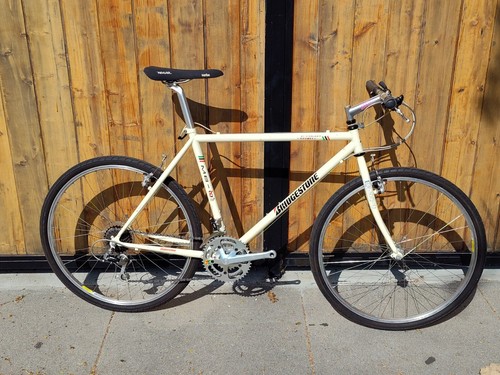 【即乘】送料無料 BRIDGESTONE MTB ANCHOR BIKES Bridgestone Anchor Carbon Track Bike – FAPCPT | djcatnap.com