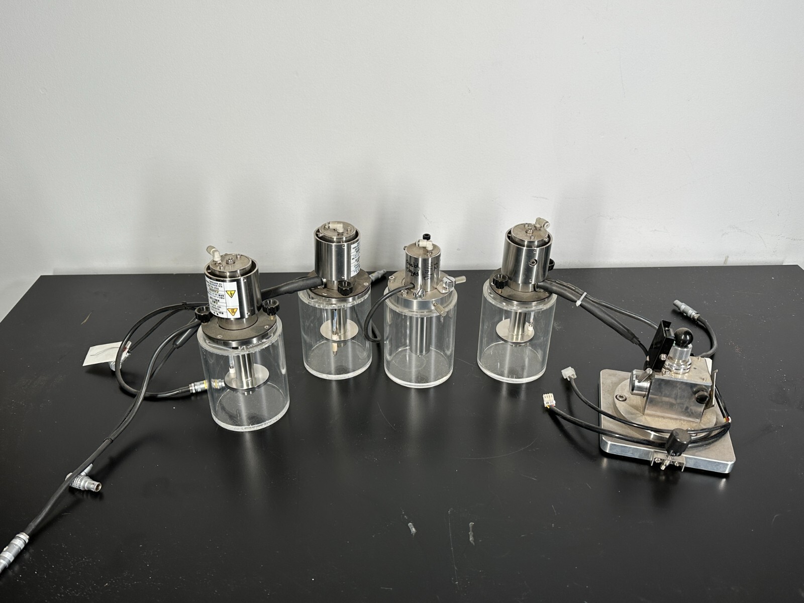 masses TAM マシス MASSES TAM | MAROON