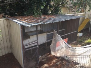 Chicken Coop In Canberra Region Act Pet Products Gumtree