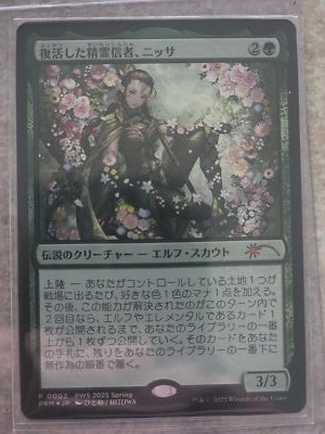 MTG Magic the Gathering Nissa, Resurgent Animist Foil 2025