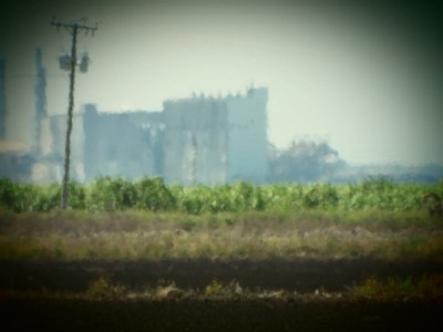 Zdjęcia przedmiotu od zweryfikowanego kupującego