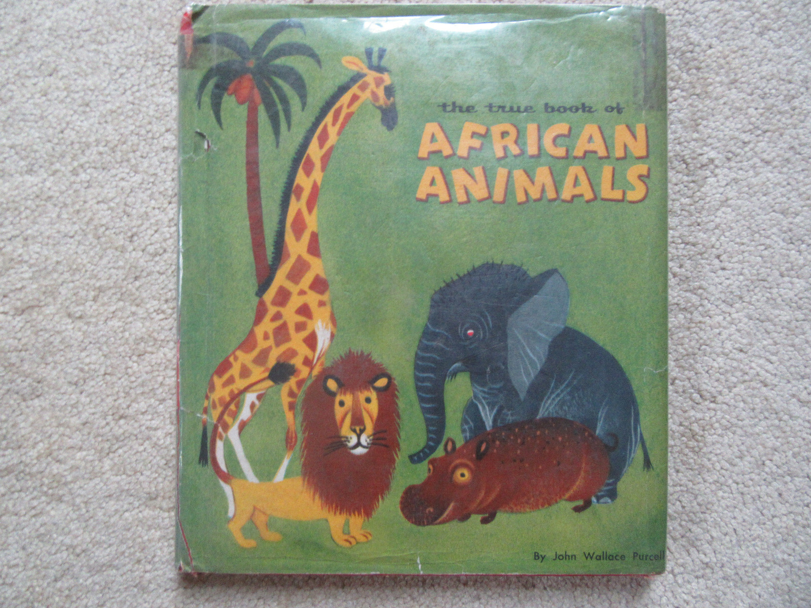 AFRICA アフリカ　大型本 $_57.JPG?set_id=8800005007