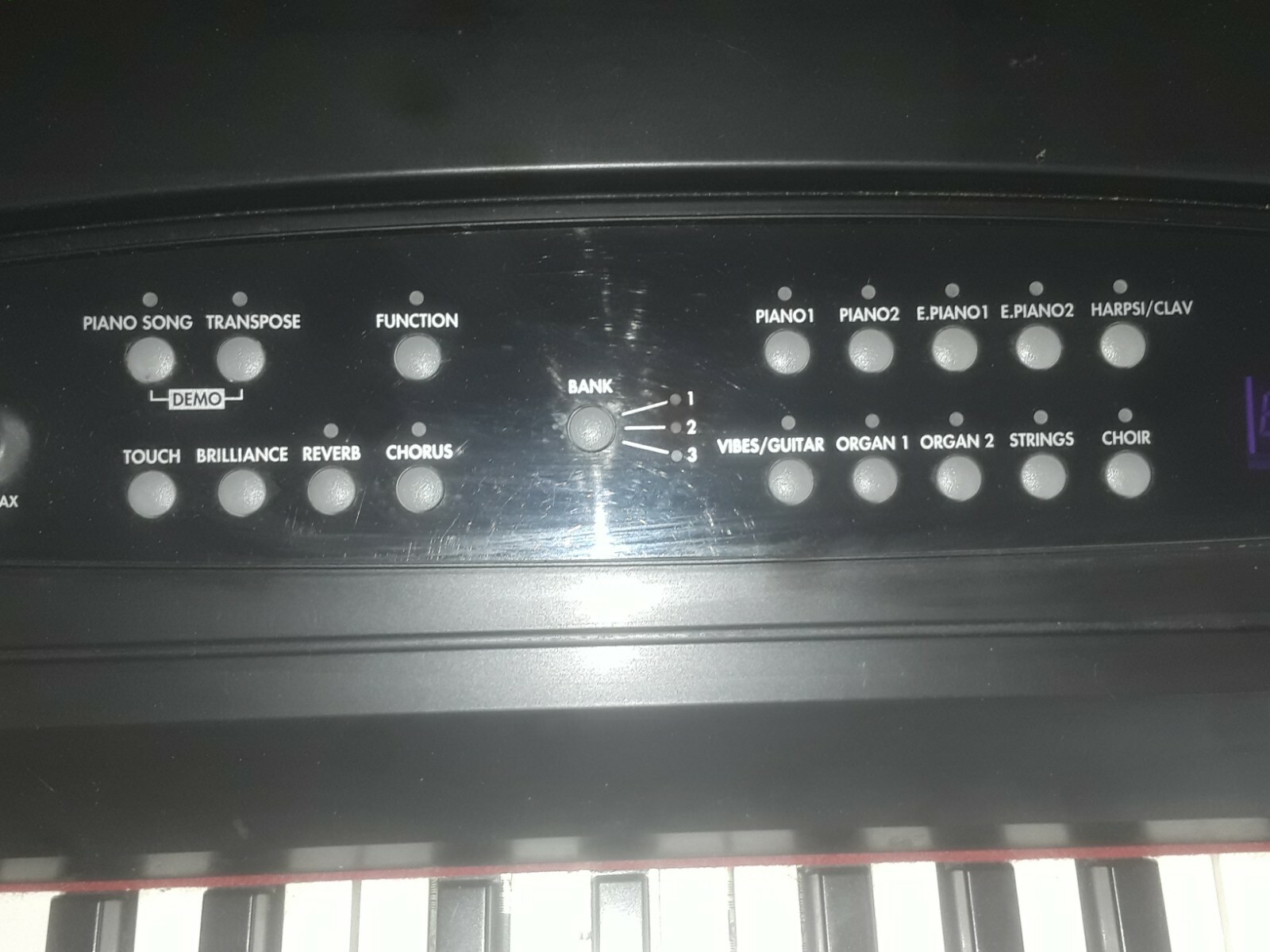 Korg SP-280 Digital Piano with foot pedal and stand
