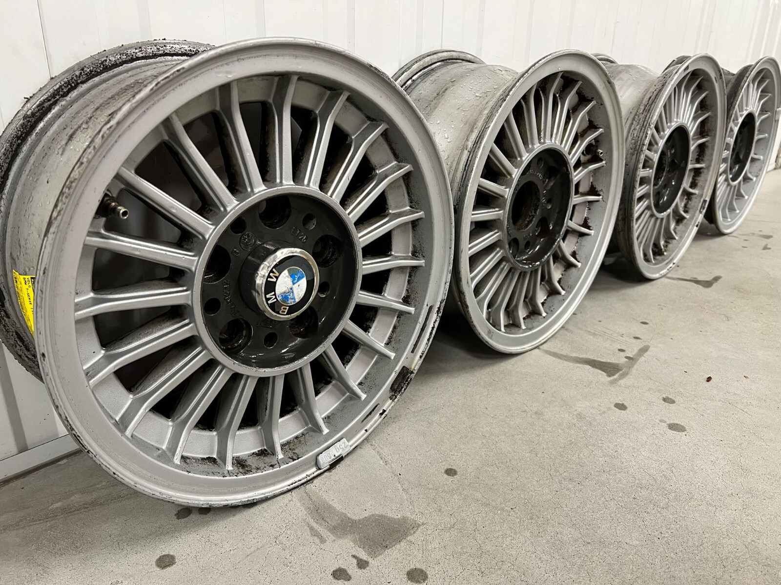 Alpina ECL Classic サイズEU43 Alpina ECL Classic サイズEU43 - メルカリ