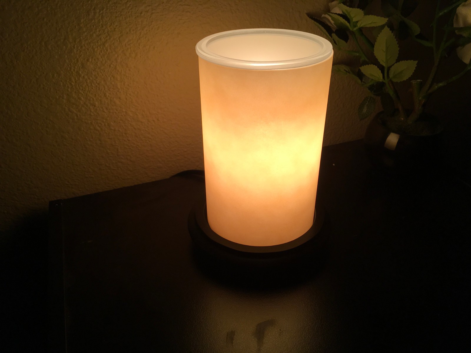 Pink Zebra Cabin Accent Warmer Shade Outdoor Cabin Theme WITH CANDLEGLOW WARMER