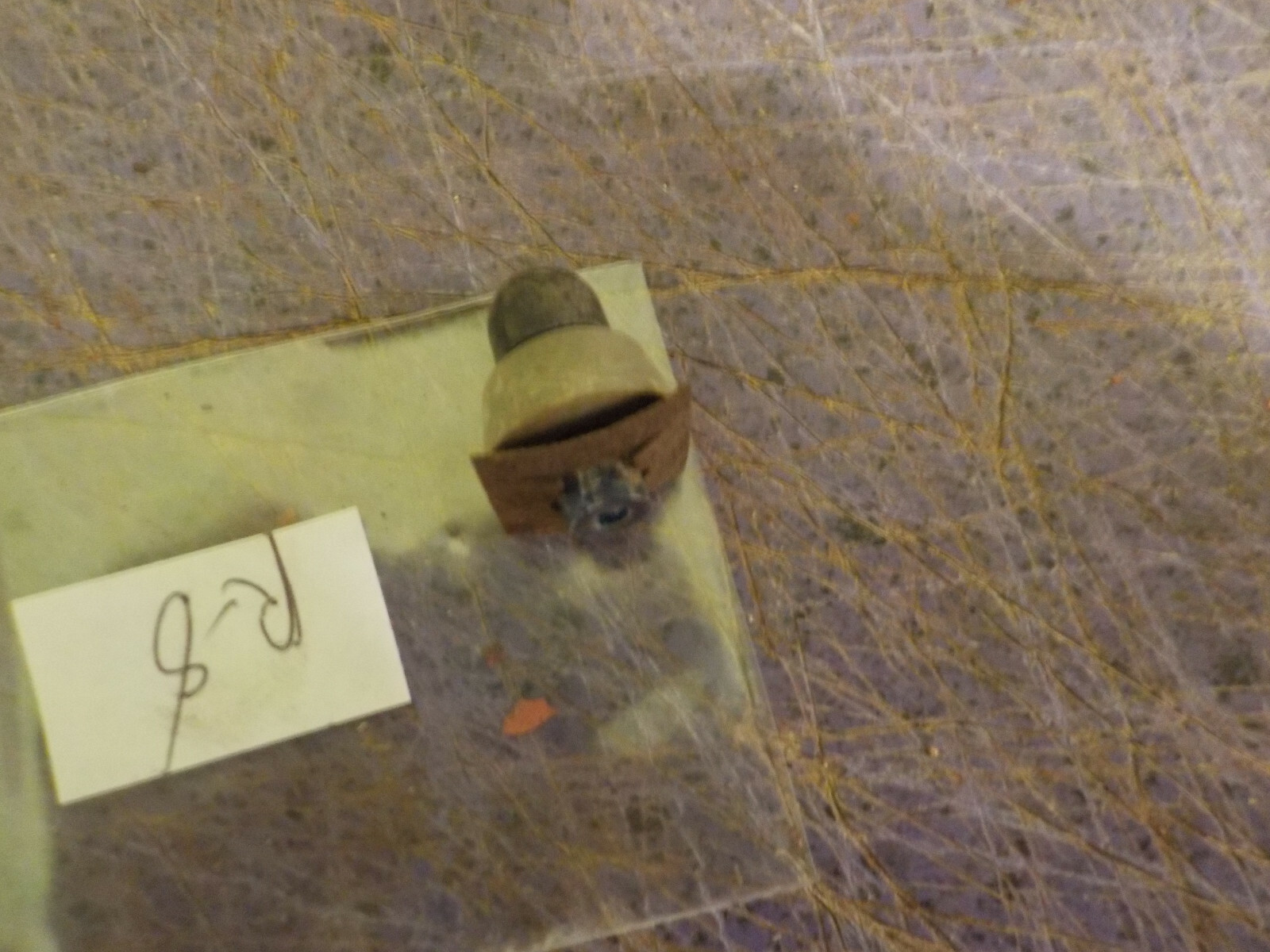 vintage tonka ford state truck blue light 1954-55 for parts