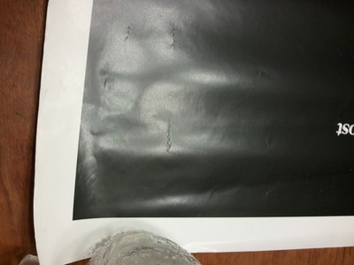 Born on the Forth of July Movie Poster 1989 27