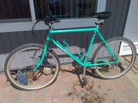 1993 diamondback apex