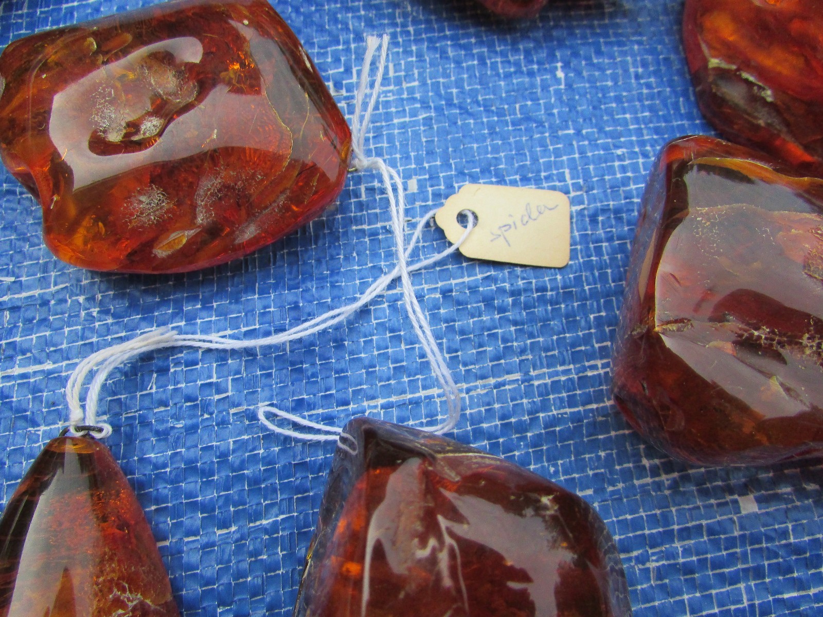 957.6 Grams of Baltic Amber One With Spider