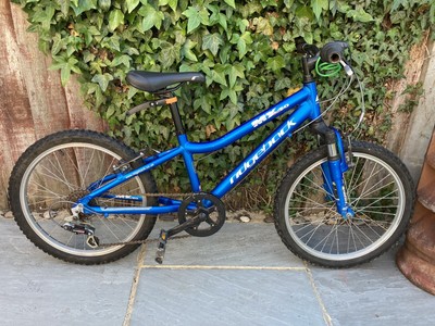 ridgeback mx20 blue
