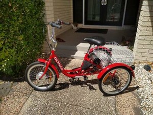 gomier electric trike