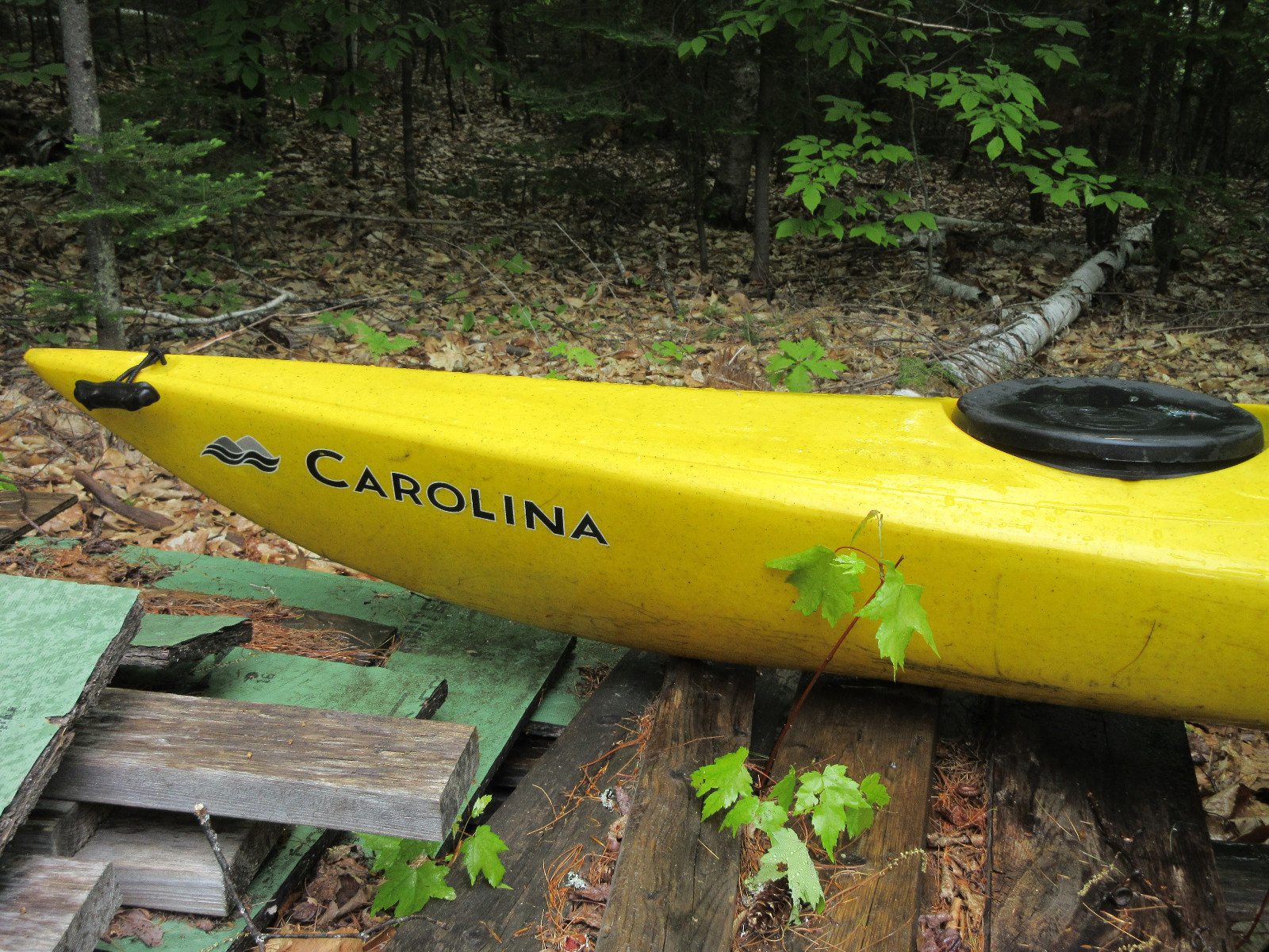 Perception Carolina 14.5' Kayak for touring, flatwater