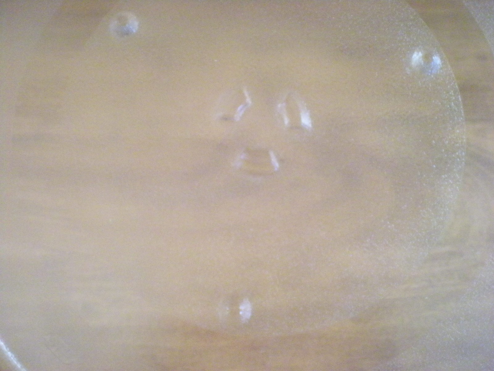 Microwave Turntable Plate* 14 1/4