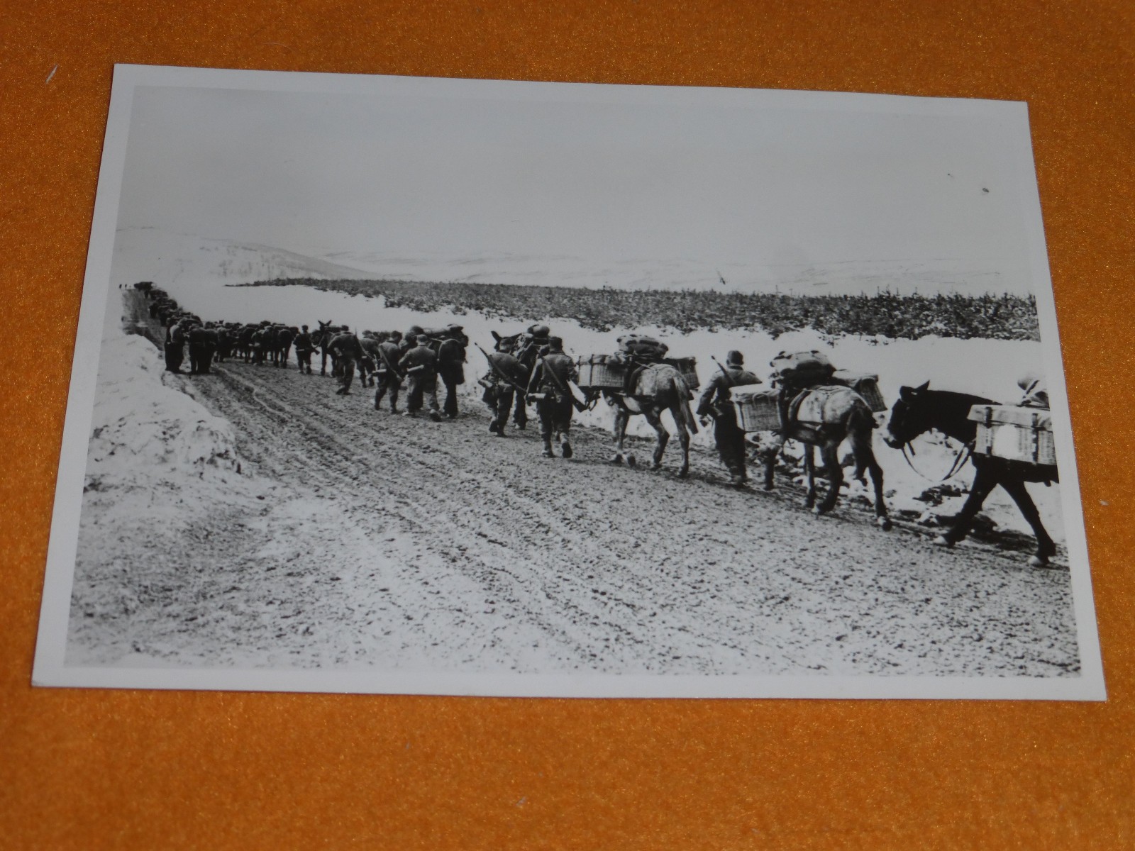 Gebirgsjger mit Maultieren in Bulgarien Foto 2.WK 1941 Landser im Schneegebirge