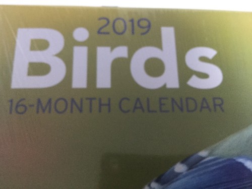 Birds 2019 Calendar 16 Month Wall Hanging 12 X 11 Inch Bird Lover Nature Animals