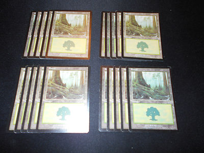 20 Basic Land #348 - SAME ART - Forest - Mercadian Masques-SP/NM- Magic MTG FTG