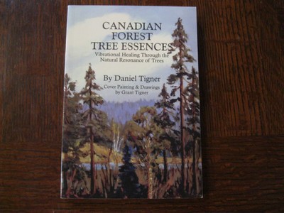 Canadian Forest Tree Essences Vibrational Healing Natural Resonance DanielTigner