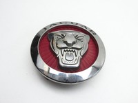 Jaguar E-Pace X540 Emblem Logo Vorne Jaguar E-Pace X540 19.08.2019 J9C5988 XC880 gebraucht Vorschau 2