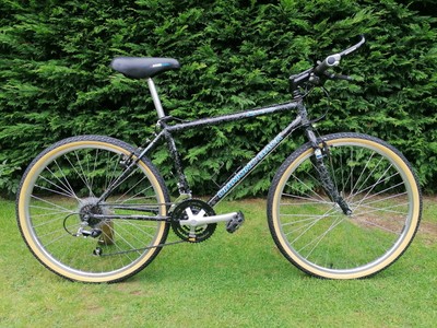 Retro 92 Diamond Back Sorrento MTB True Temper Frame Serviced Timewarp Condition