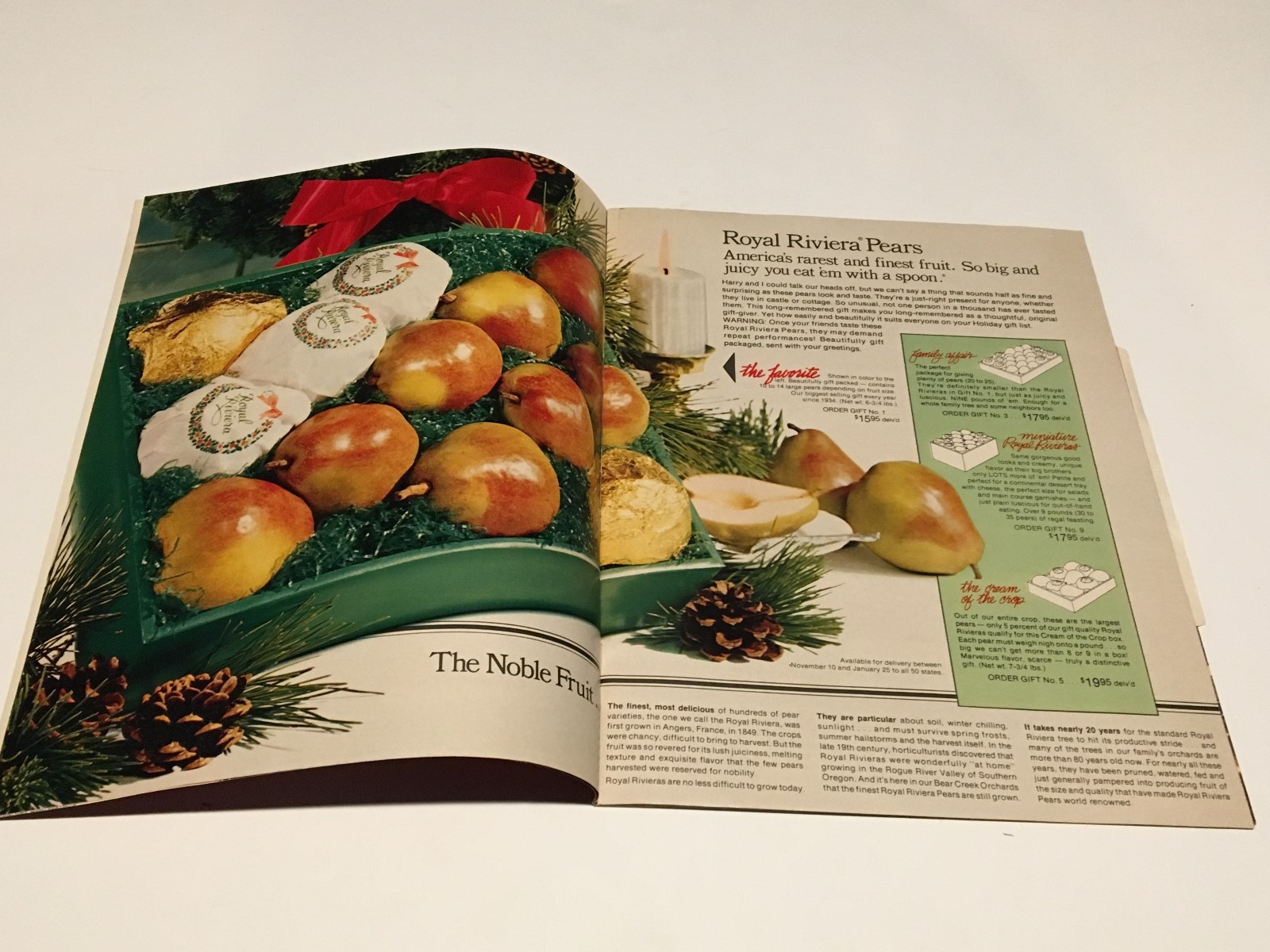 Harry & David Christmas '83 Catalog -w/Order Form, Letter and Recipe Inserts