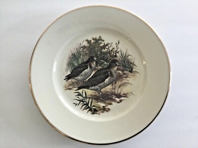 VTG W. GERMANY SNIPE ESCHENBACH BAVARIA ROSENTHAL CHINA LUNCHEON PLATE RARE GOLD