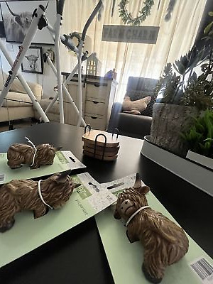 经认证买家提供的物品图片