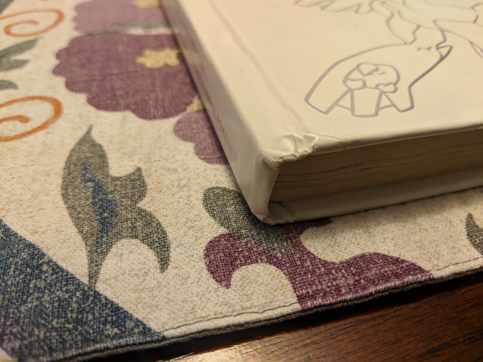 Pokemon Black Version & Pokemon White Version Collector's Edition