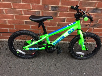 diamondback hyrax 16