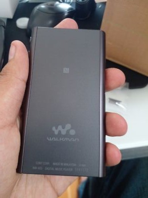 Amazon.com: Sony NW-A55/B Walkman NW-A55 Hi-Res 16GB MP3