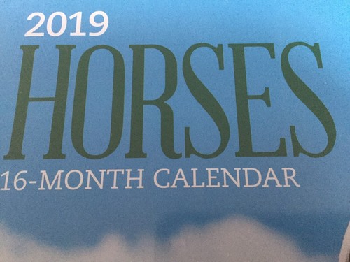 Horses 2019 Calendar 16 Month Wall Hanging 12 X 11 Inch Horse Lover Country NEW