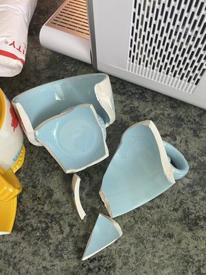 Foto dell'oggetto di un acquirente verificato