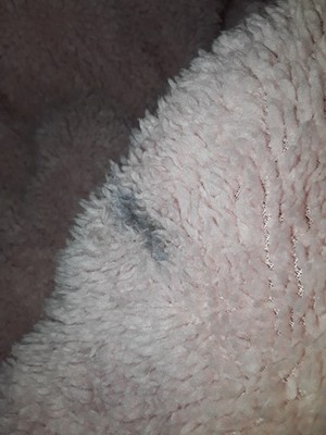 Objectfoto('s) van geverifieerde koper